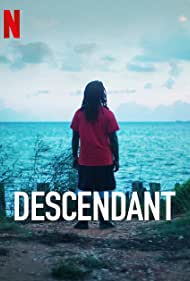 Descendant - Hindi - BRRip